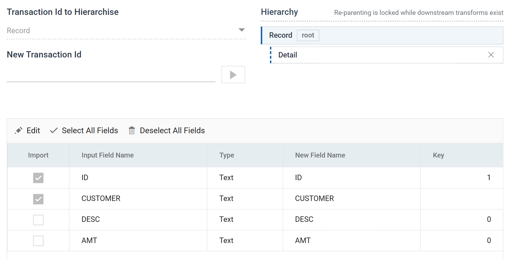 The Hierarchy transform's Field Mapping tab: Transaction Id to Hierarchise set to Record, a Hierarchy tree showing Record marked root with Detail indented beneath it, and a field grid where ID and CUSTOMER are ticked for import, ID carries Key 1, and DESC and AMT are unticked