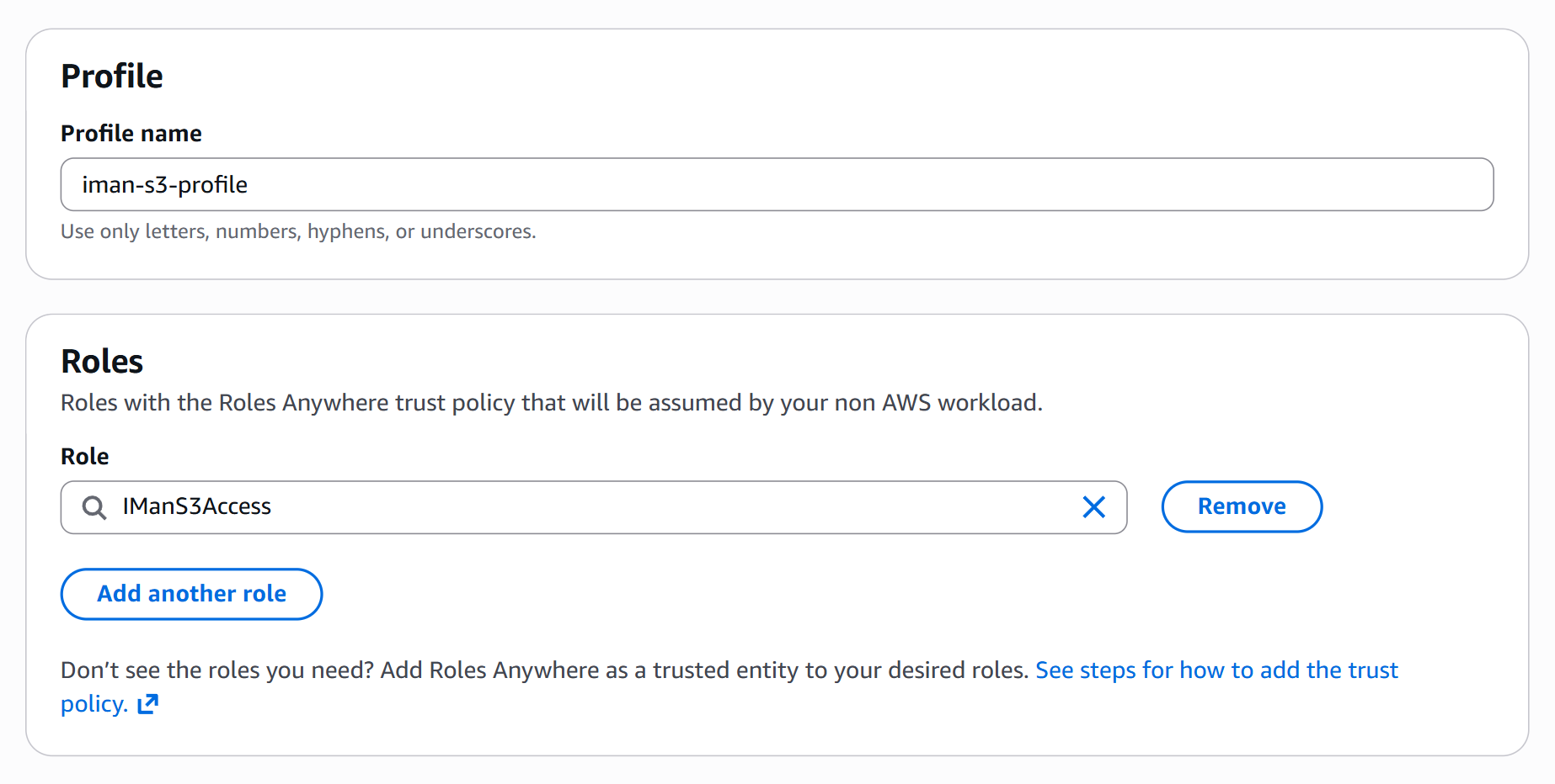 The Create a profile form, with the profile name filled in and the role named in the Roles section