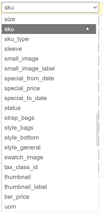 The dynamic item field list