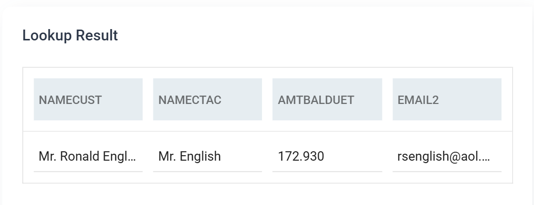 The Lookup Result grid returning one row with the customer name, contact name, balance due and email address